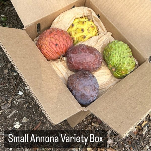 Annona Variety Box - Image 4