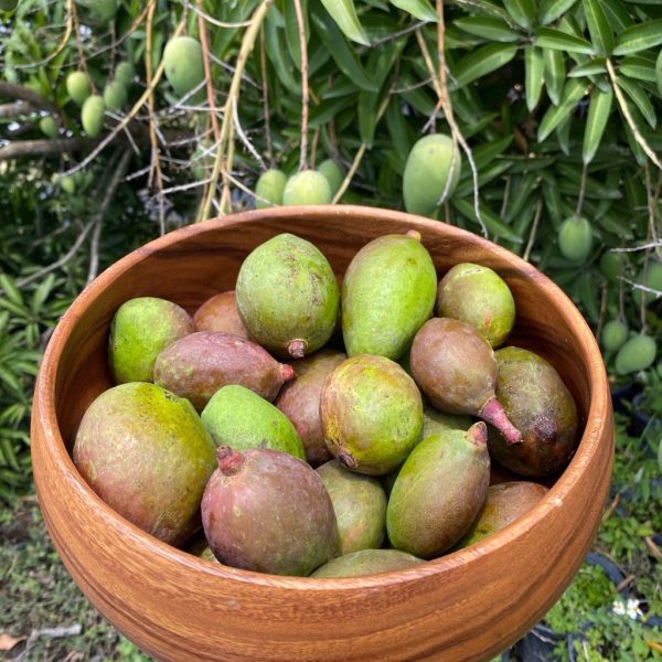 Baby Green (Unripe) Mango *Pre-Order*