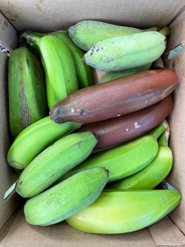 Banana Variety Box - Image 4