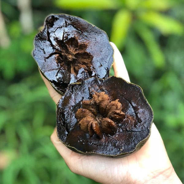 Black Sapote
