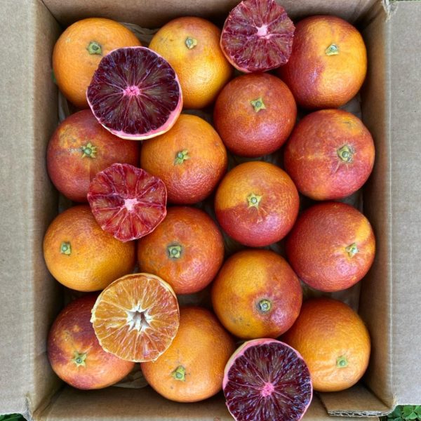 Blood Orange *Pre-Order* - Image 4