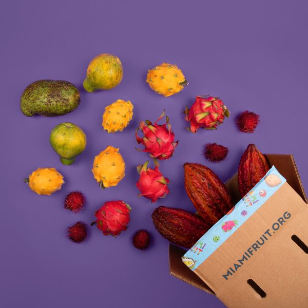 Build Your Own Box - Image 2