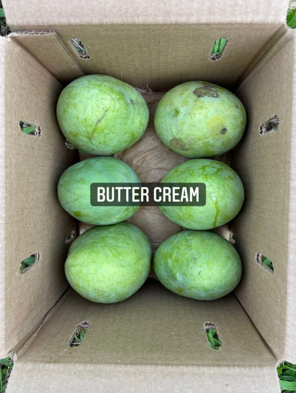 Buttercream Mango *Pre-Order* - Image 3