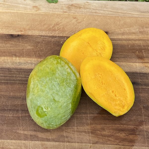 Carrie Mango *Pre-Order*
