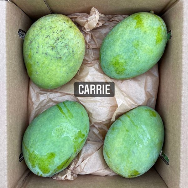 Carrie Mango *Pre-Order* - Image 3
