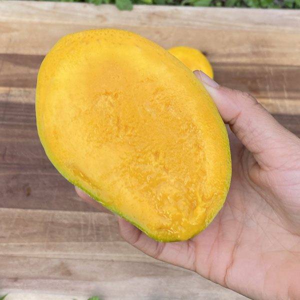 Carrie Mango *Pre-Order* - Image 4