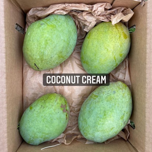Coconut Cream Mango *Pre-Order* - Image 3
