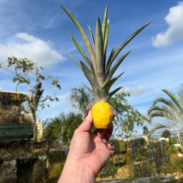 Decorative Stick-On Potted Pineapple Top - Image 3