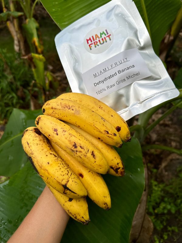 Dehydrated Gros Michel Banana - Image 4