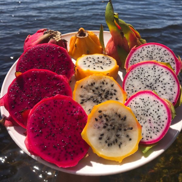 Dragonfruit Mix Box *Pre-Order*