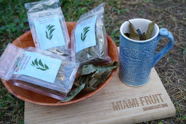 Dried Soursop Leaves - Image 4