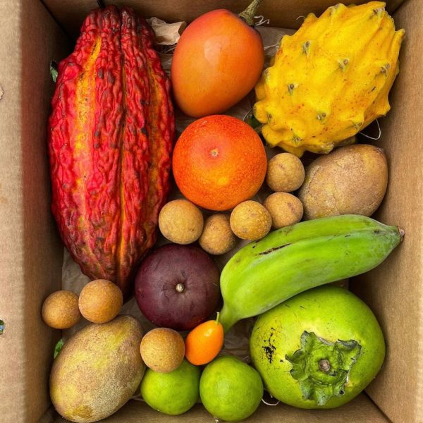 Florida Residents Club Box