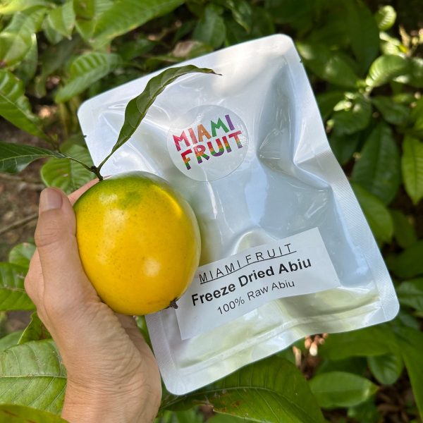 Freeze Dried Abiu - Image 2