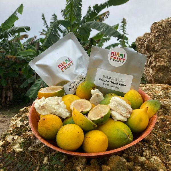 Freeze Dried Abiu - Image 3