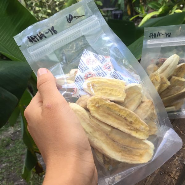 Freeze Dried Banana