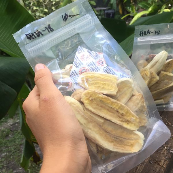 Freeze Dried Banana - Image 2