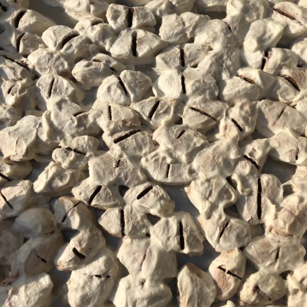 Freeze Dried Cacao - Image 3