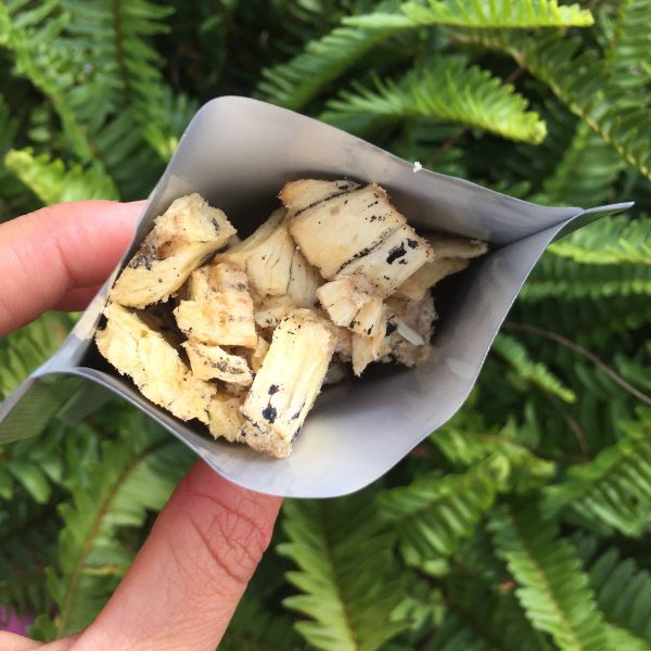 Freeze Dried Monstera Deliciosa *Pre-Order* - Image 3