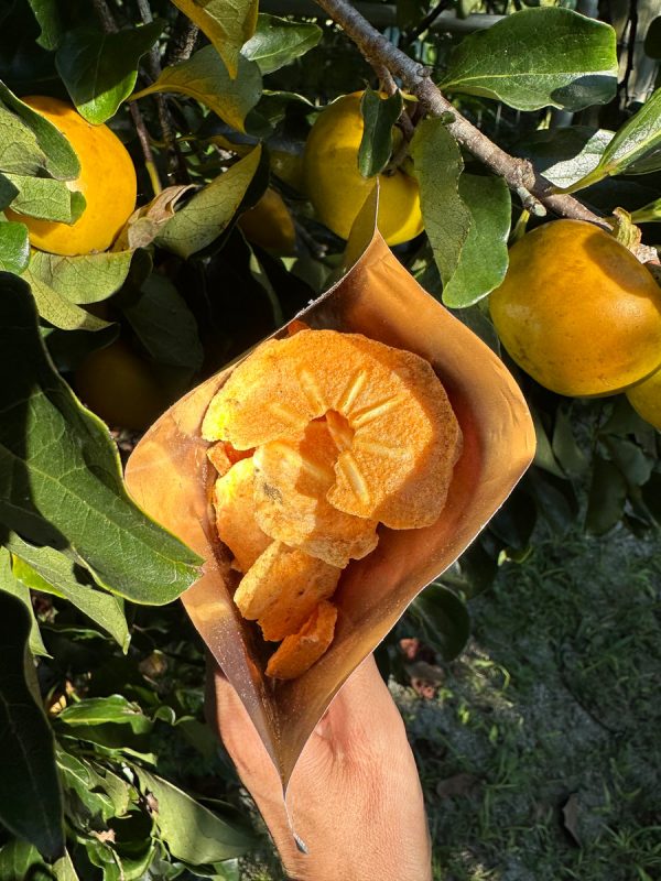 Freeze Dried Persimmon - Image 3
