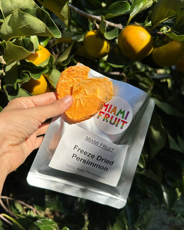 Freeze Dried Persimmon - Image 4
