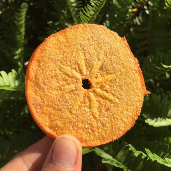 Freeze Dried Persimmon