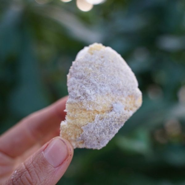 Freeze Dried Sprouted Coconut