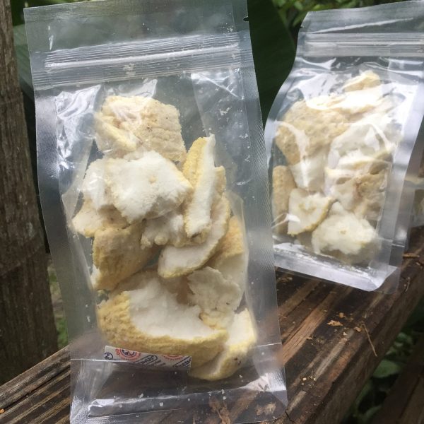 Freeze Dried Sprouted Coconut - Image 3