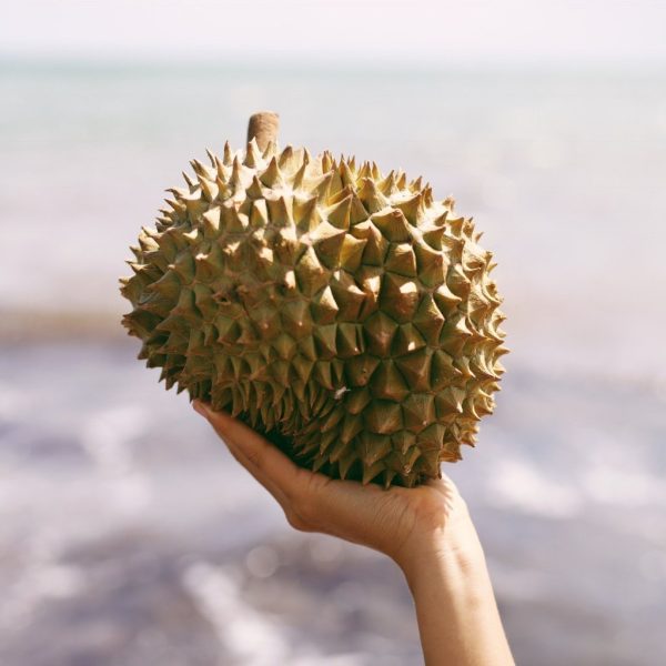 Fresh Monthong Durian *Pre-Order* - Image 3