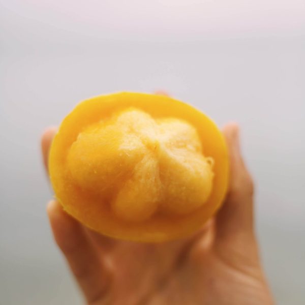 Gamboge (Lemon Mangosteen) *Pre-Order* - Image 2