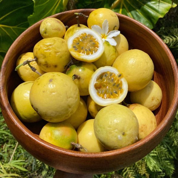 Golden Passionfruit (Lilikoi) *Pre-Order* - Image 3