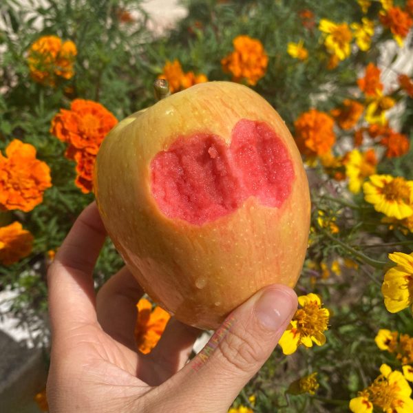 Hidden Rose Apple *Pre-Order* - Image 2