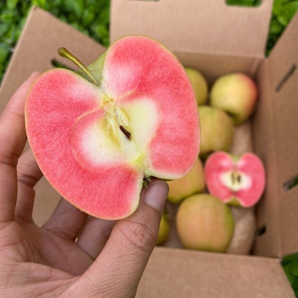 Hidden Rose Apple *Pre-Order* - Image 4