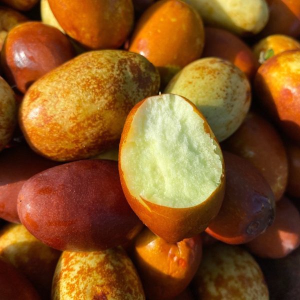 Honey Jujube *Pre-Order* - Image 2