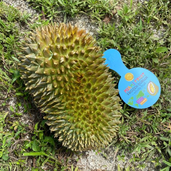 Hulu (Hor Lor) Durian - Image 3