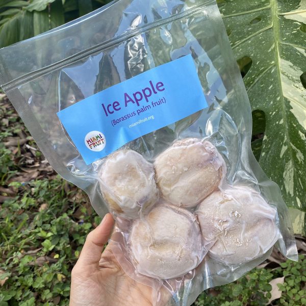 Ice Apple (Toddy Palm) - Borassus Palm Packet *Frozen* - Image 2