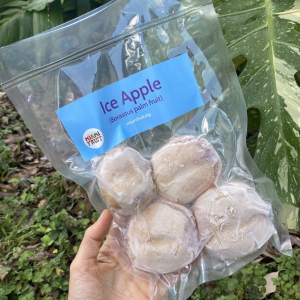 Ice Apple (Toddy Palm) - Borassus Palm Packet *Frozen*
