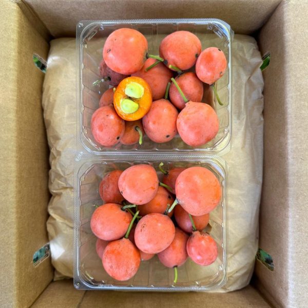 Imbe - African Mangosteen *Pre-Order* - Image 4