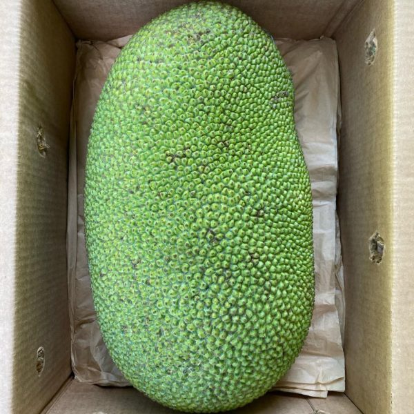 Jackfruit Box - Image 3