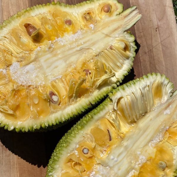 Jackfruit Box - Image 2