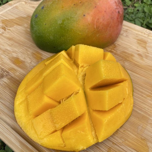Keitt Mango *Pre-Order* - Image 3