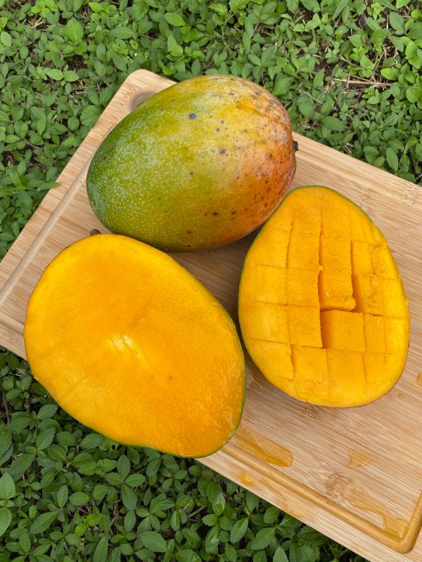 Keitt Mango *Pre-Order* - Image 4
