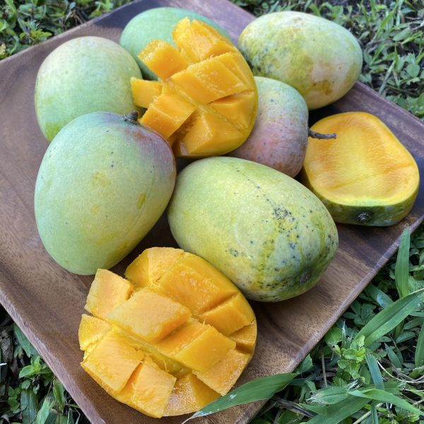 Kesar Mango *Pre-Order* - Image 2