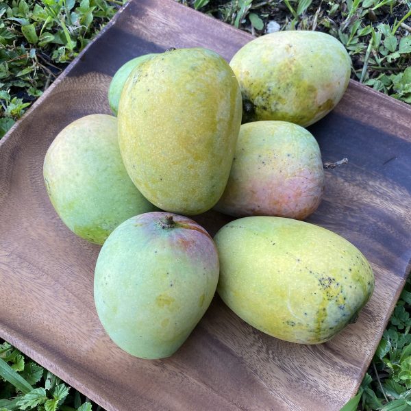 Kesar Mango *Pre-Order* - Image 3