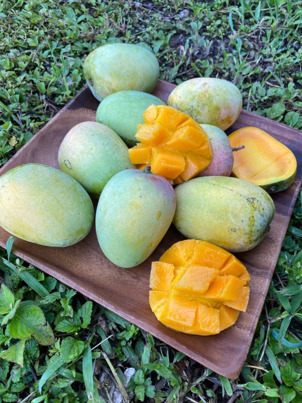 Kesar Mango *Pre-Order* - Image 4