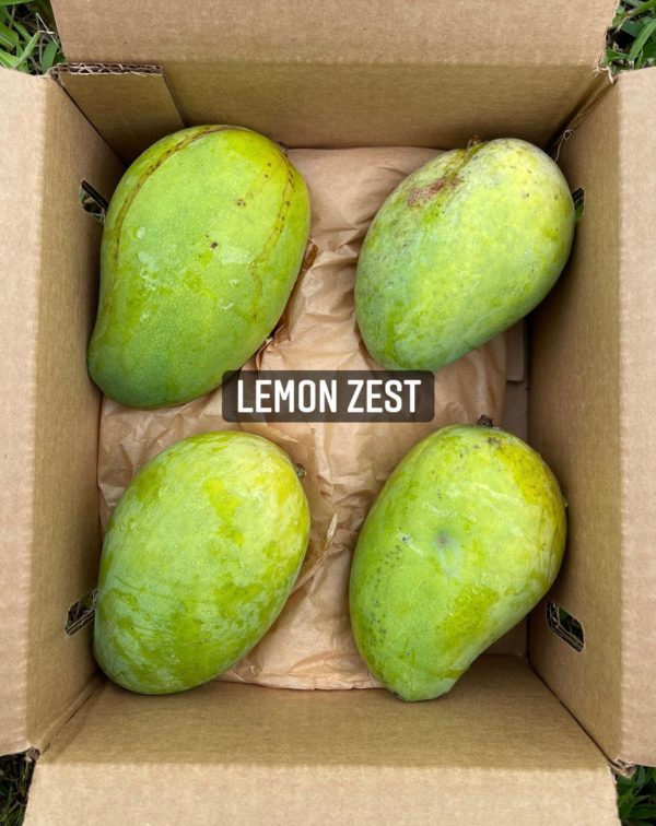 Lemon Zest Mango *Pre-Order* - Image 4