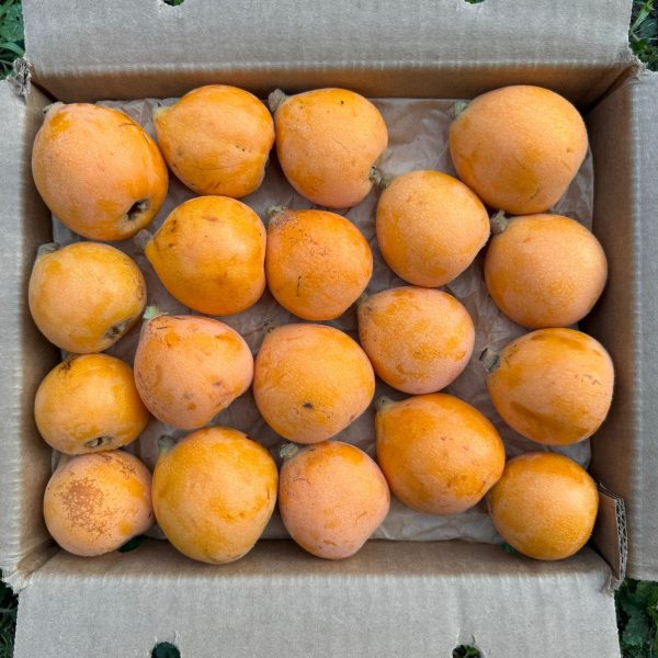 Loquat Box *Pre-Order* - Image 3