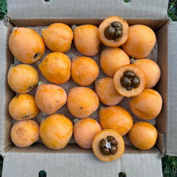 Loquat Box *Pre-Order* - Image 4