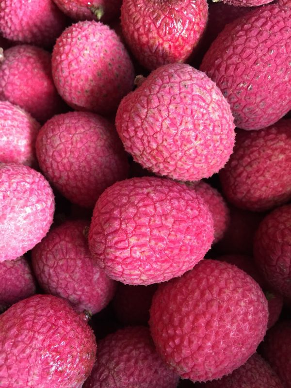 Lychee - Brewster Variety *Pre-Order* - Image 4