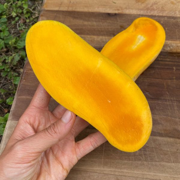 Mahachanok Mango *Pre-Order*