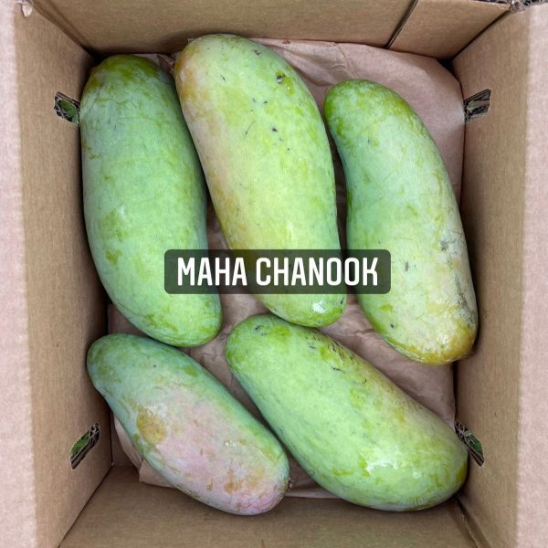 Mahachanok Mango *Pre-Order* - Image 3